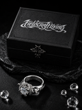 Radiant Fool Polished 925 Silver Artisan Ring